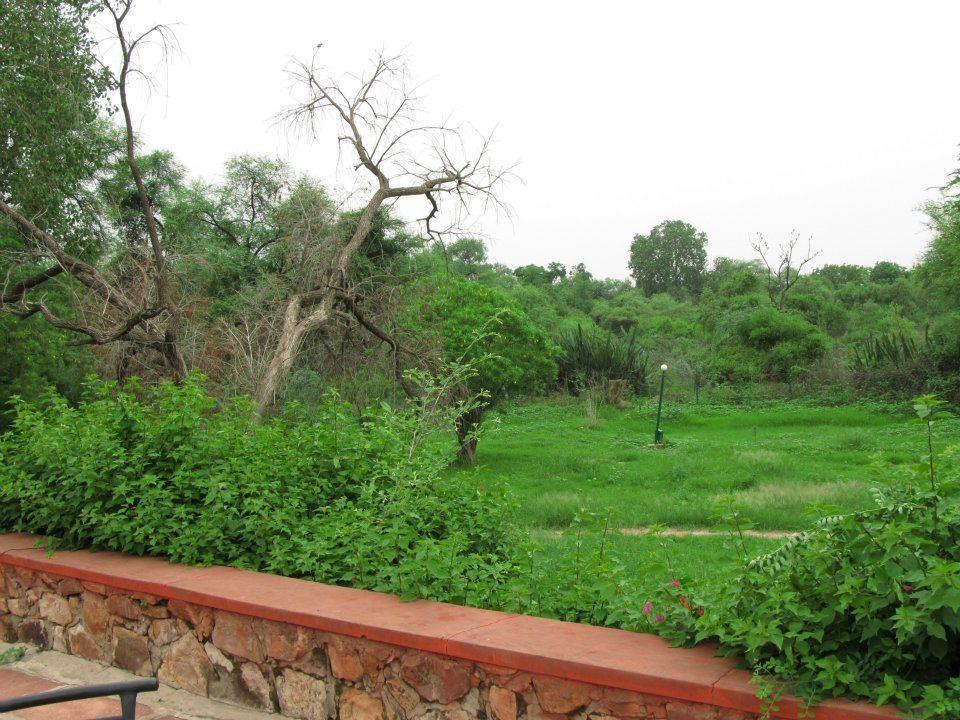 Hotel Bharatpur Ashok Eksteriør bilde