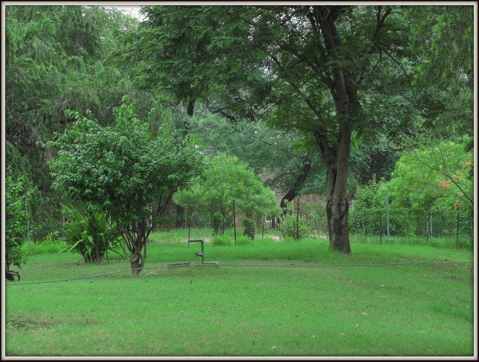 Hotel Bharatpur Ashok Eksteriør bilde